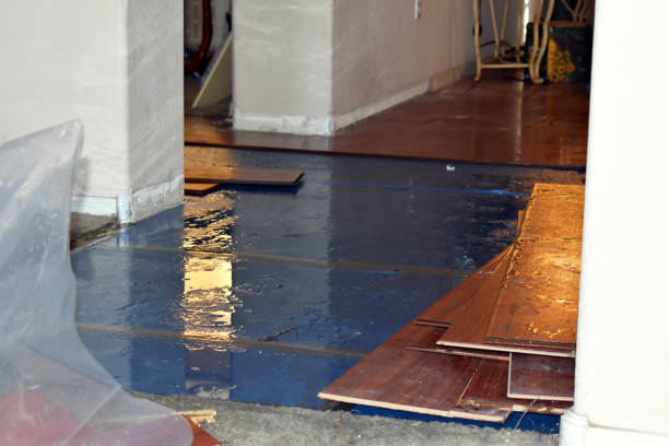 Professional Water Damage Restoration technician working in Ayr, ND